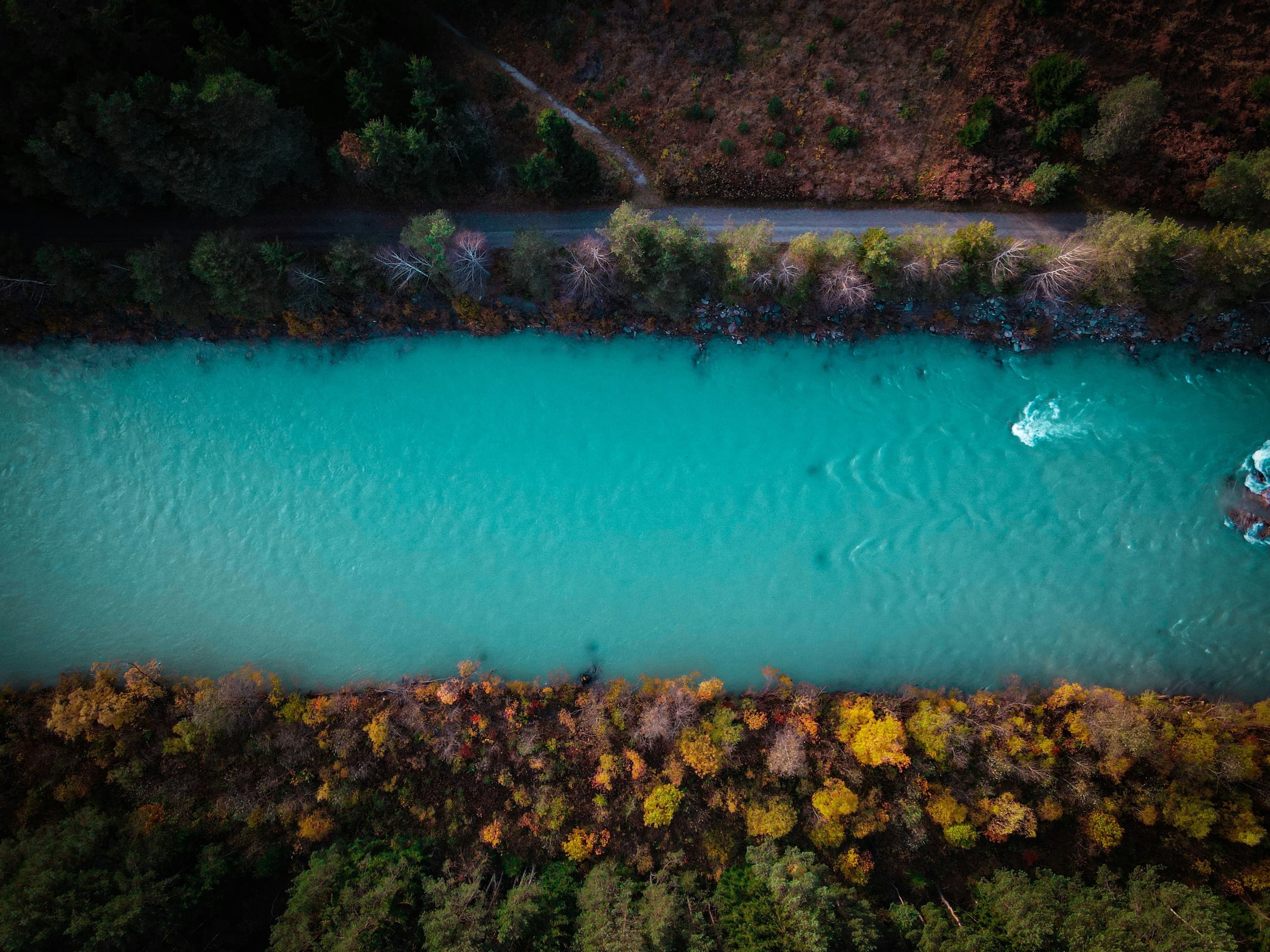 Vue aérienne d’une rivière turquoise traversant une forêt aux couleurs cuivrées d’automne